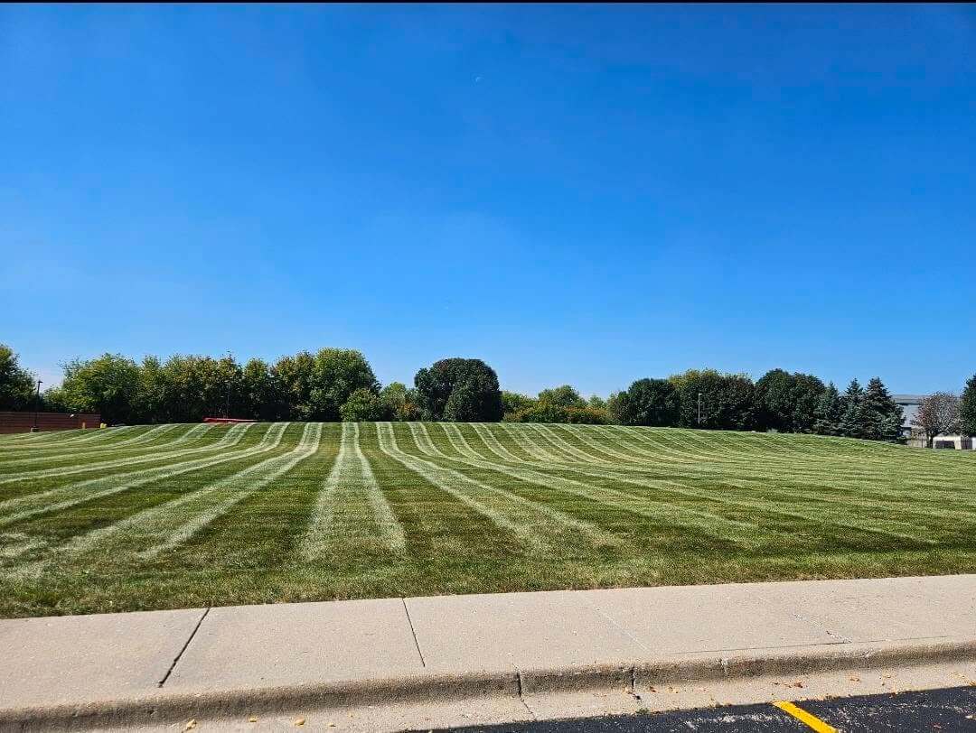 Landscape Enhancement